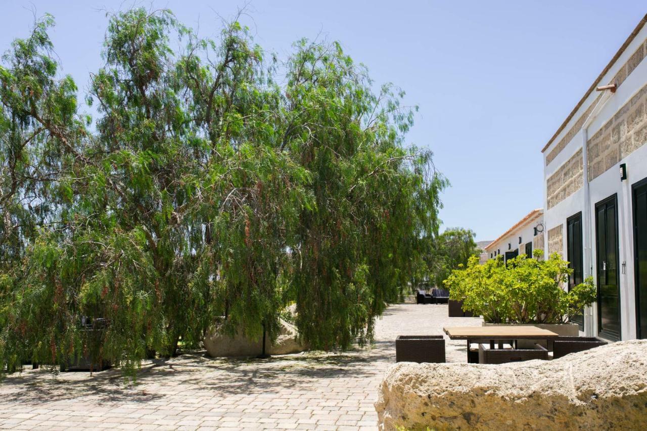 Arico Viejo La Malvasia מראה חיצוני תמונה